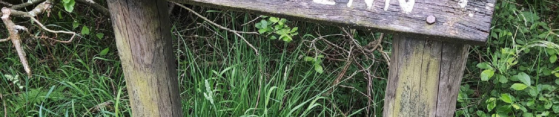 Percorso Marcia Eupen - Promenade dans la fagne de Brackvenn   - Photo