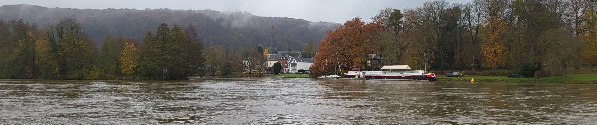 Randonnée Marche Namur - Wepion 211123 - Photo