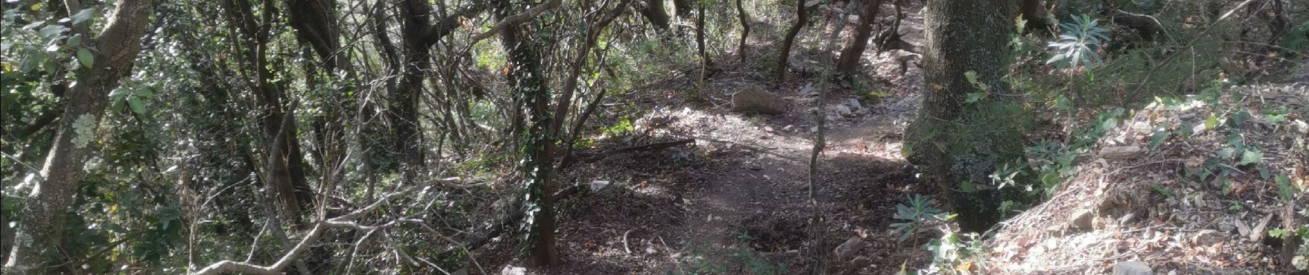 Point d'intérêt Cabrières -  variante descente  - Photo