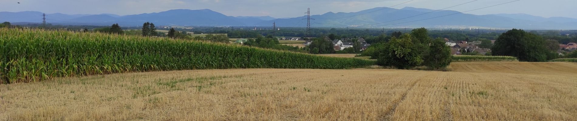 Tour Wandern Heimsbrunn - heimsbrunn - Photo