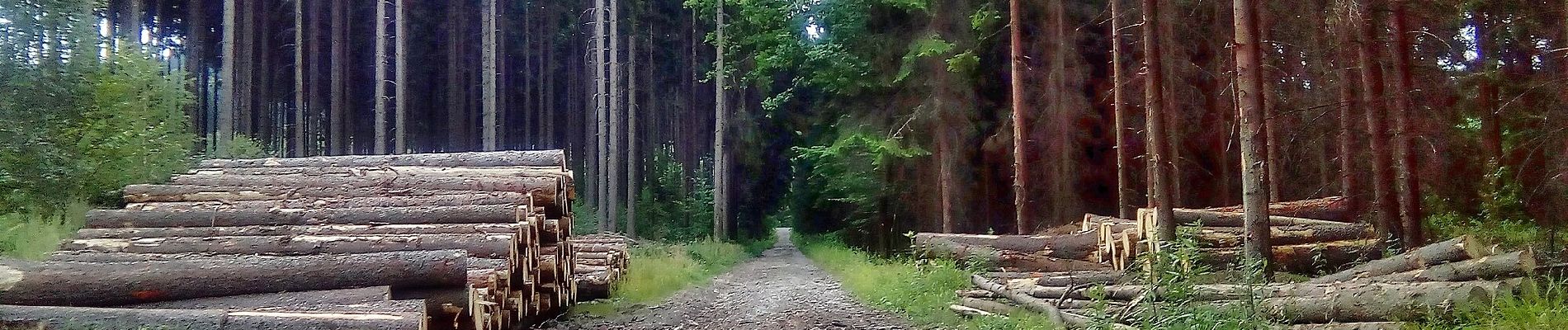 Excursión A pie Nový Jičín - Naučná stezka Františka Palackého - Photo