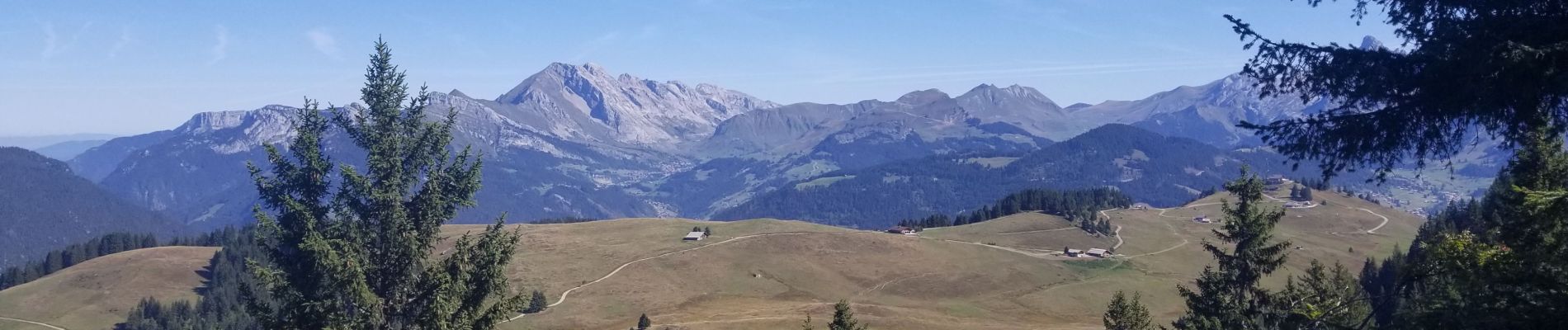 Trail Walking Manigod - plateau de beauregard - Photo