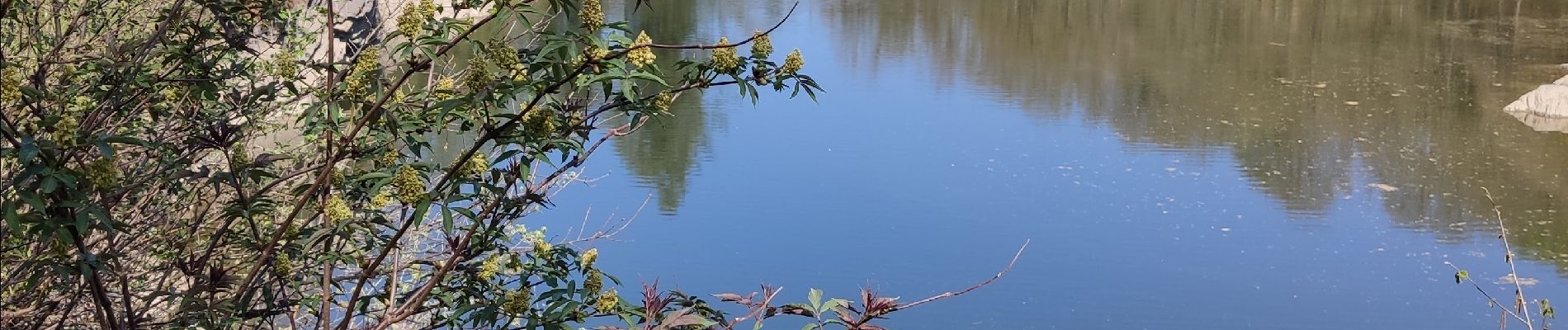 Randonnée Marche Waimes - Balade de rêve 17 - Du lac aux sources de Quareu - Photo