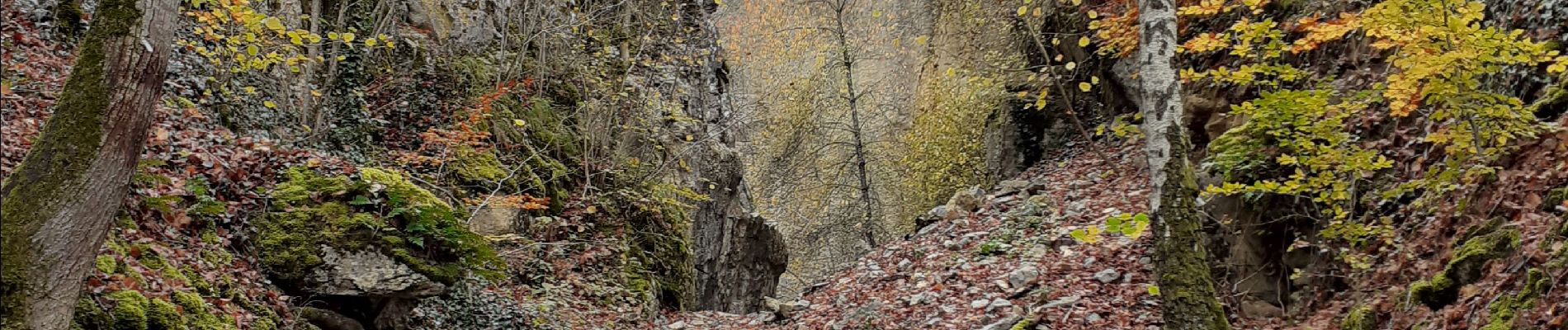 Trail Walking Viroinval - nismes. fondry des chiens  - Photo