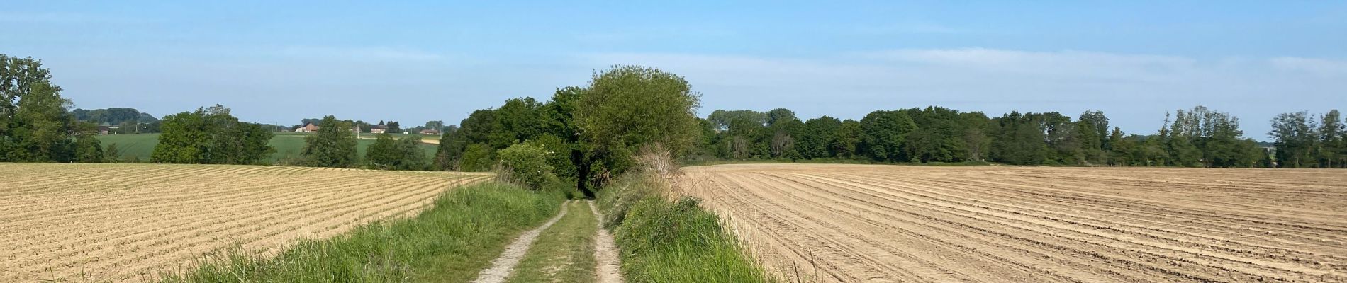 Tocht Stappen Edingen - Enghien 16 km - Photo