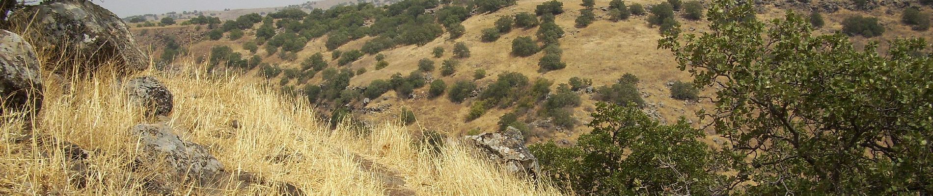 Trail On foot Golan Regional Council - Zavitan Fall - Photo