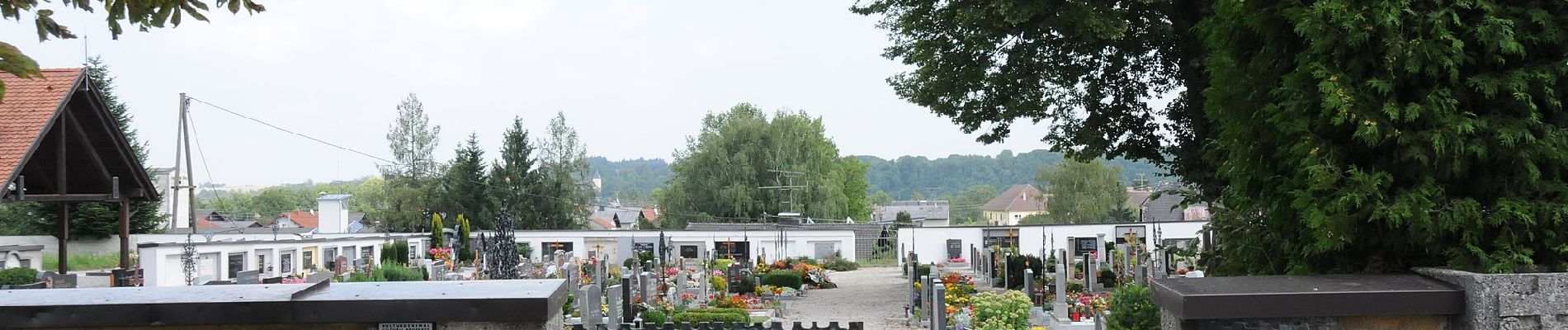 Tour Zu Fuß Bad Wimsbach-Neydharting - Zum Almspitz - Photo