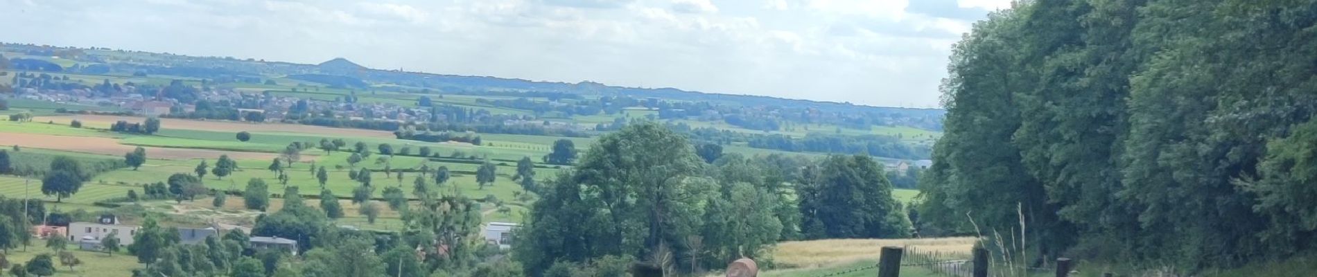 Tocht Mountainbike Wezet - Entre Belgique et Pays-Bas 🌿 - Photo