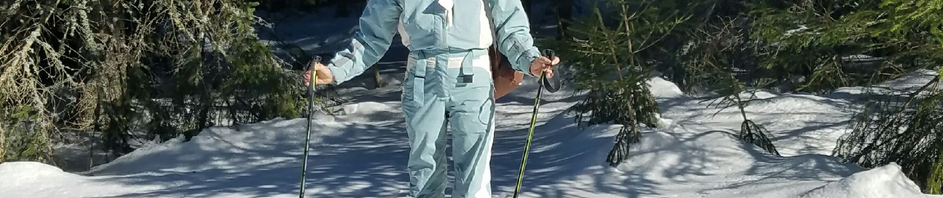 Percorso Racchette da neve La Tour-d'Auvergne - La stele - Photo