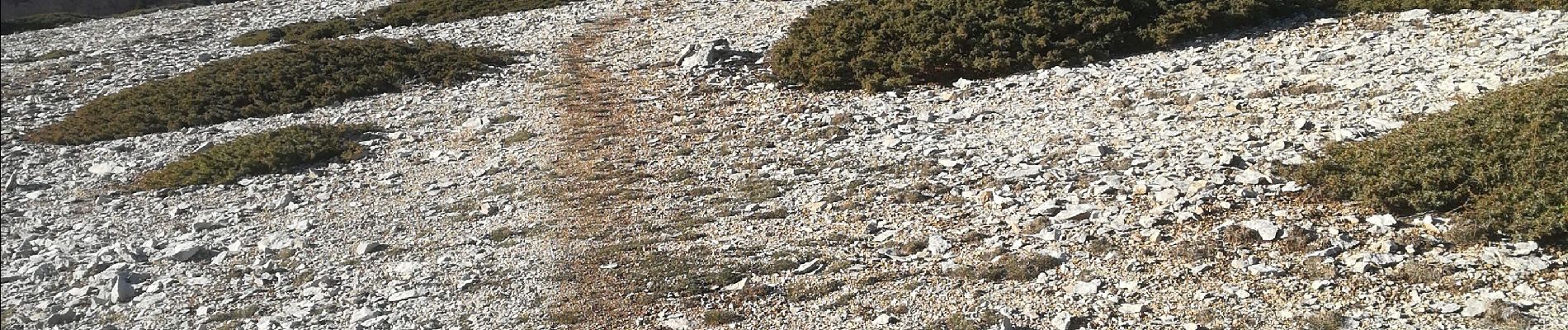 Percorso Marcia Bédoin - Les Glacières du Facteur  - Photo