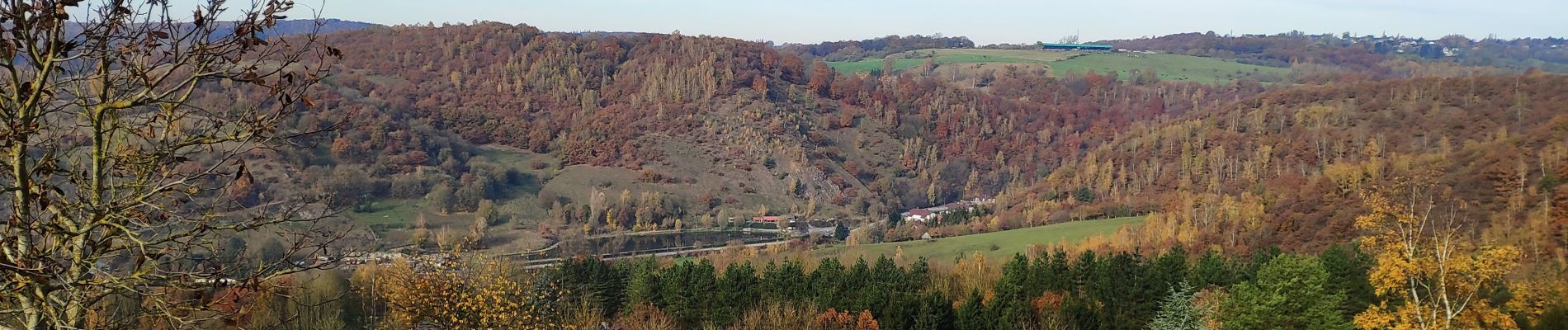 Excursión Bici de montaña Fléron - Randonnée des feuilles mortes - Photo