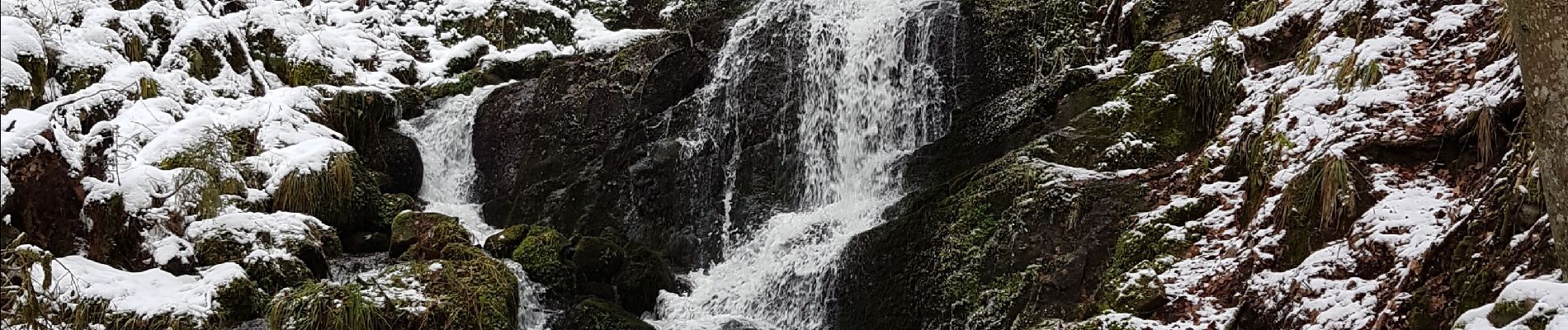 Percorso Marcia Neuviller-la-Roche - Natzwiller - cascade de la Serva - Champ du Feu - Photo