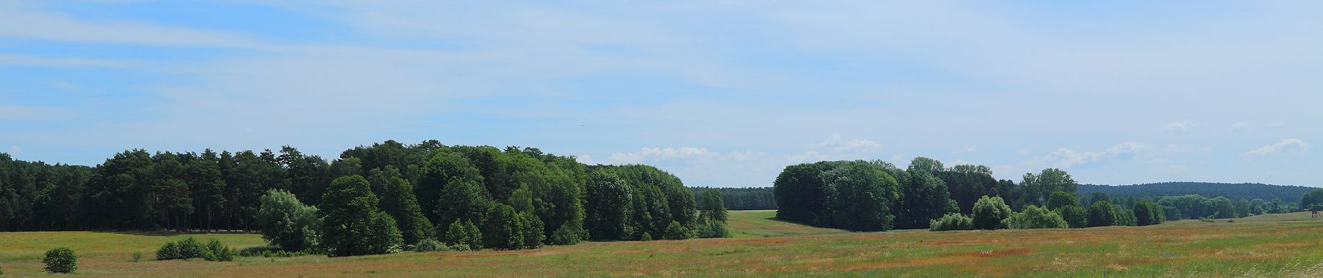 Percorso A piedi Schwielochsee - Wanderweg Lamsfeld-Klein Liebitz-Lieberose - Photo