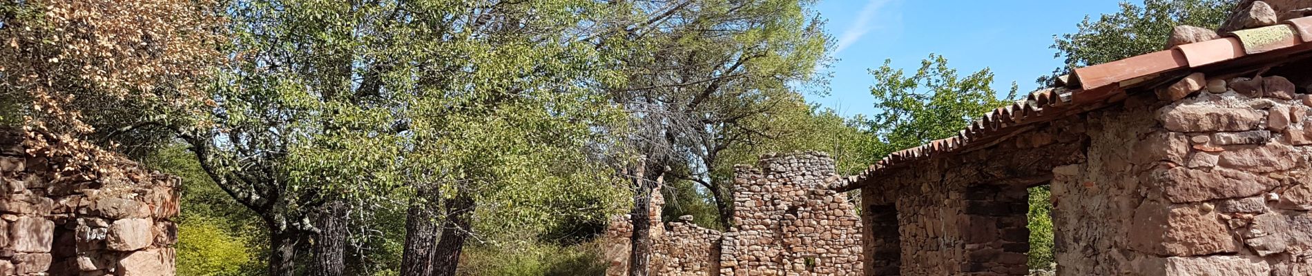 Tocht Stappen Les Mayons - LES MAYONS - LA PLAINE DES MAURES - Photo