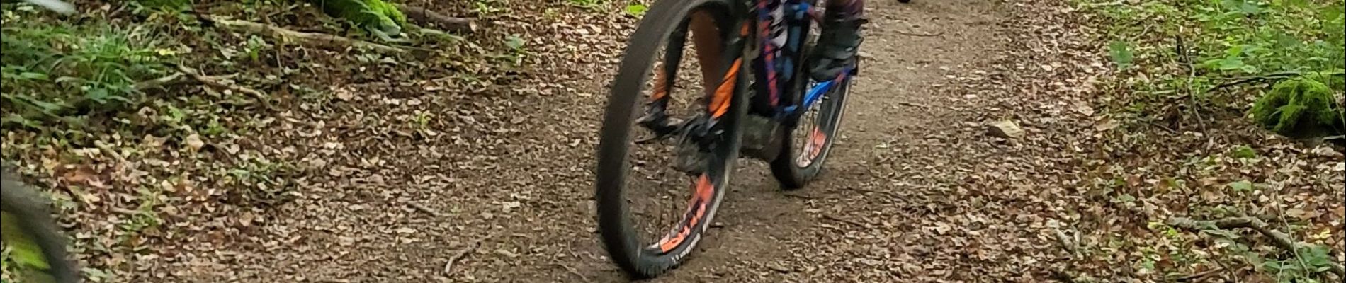 Tocht Elektrische fiets Mertzen - sortie vtt des 80 ans 29052024 - Photo