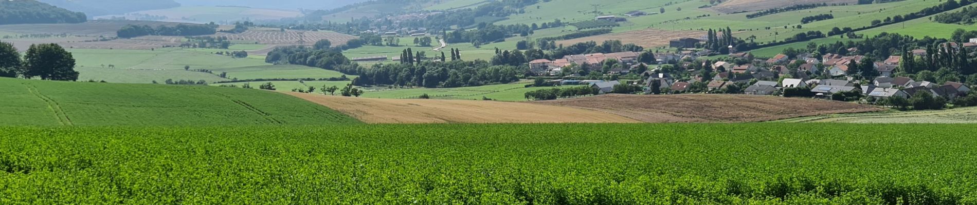 Randonnée Marche Leyr - Leyr - plateau de la Rochette - Photo