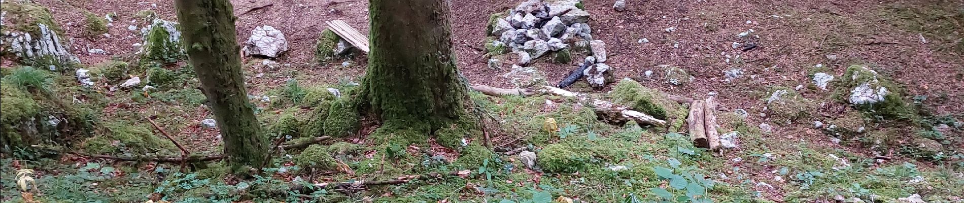 Point d'intérêt Les Bois - bivouac possible à bord du doubs - Photo