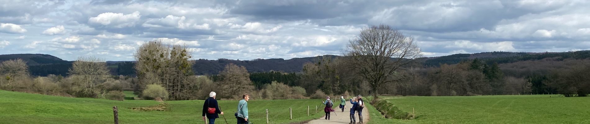 Tour Wandern Érezée - Briscol - Photo