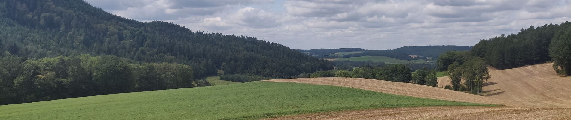 Randonnée Vélo électrique Docelles - St Jean le boulay - Photo