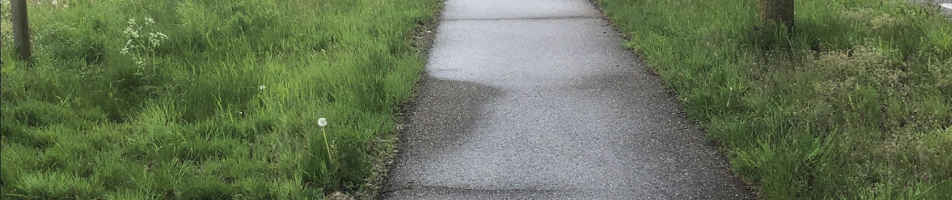 Randonnée Marche Venray - Van de oude barrier naar Maashees - Photo