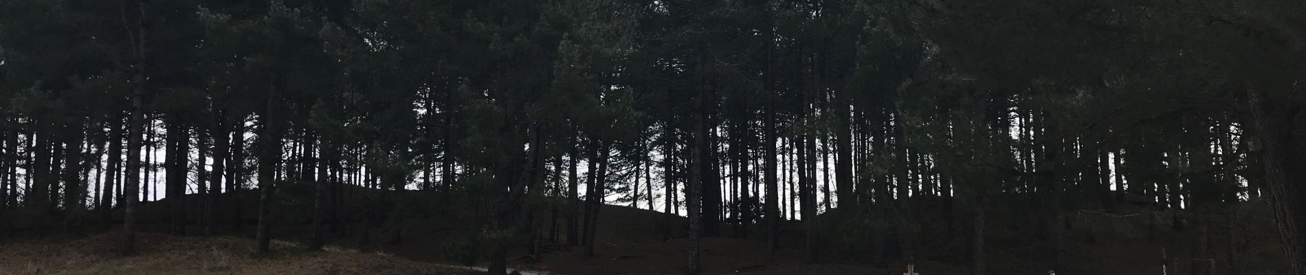 Tocht Fietstoerisme Quend - Belle Dune - Parc du Marquenterre - Photo