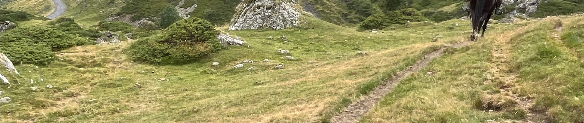 Excursión Paseo ecuestre Gavarnie-Gèdre - Gavarnie étape 4 - Photo