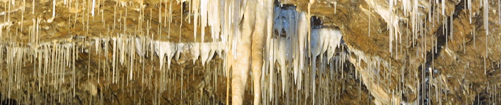Punto di interesse Hotton - Grottes de Hotton - Photo