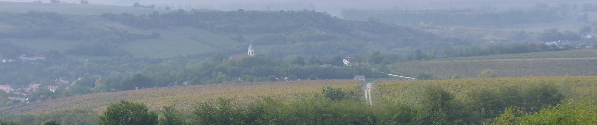 Percorso A piedi Esztergom - Z+ (Kesztölc, Dózsa György utca - Sasfészek (Berda József kh.) - Pilisszentlélek, aut. ford.) - Photo