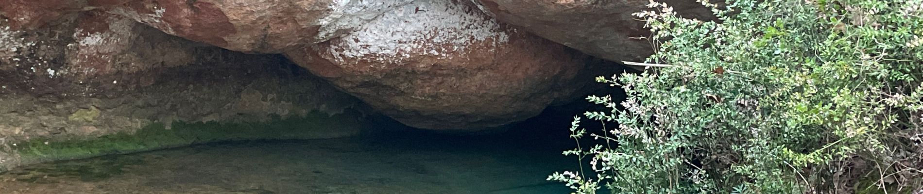 Tocht Stappen Grabels - Tour de Grabels par la source de l’Avy, La Croix de Guillery - Photo