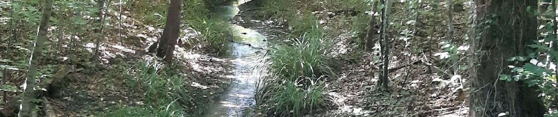 Excursión Senderismo Saint-Jean-aux-Bois - SAINT JEAN AUX BOIS, le village et les bois - Photo