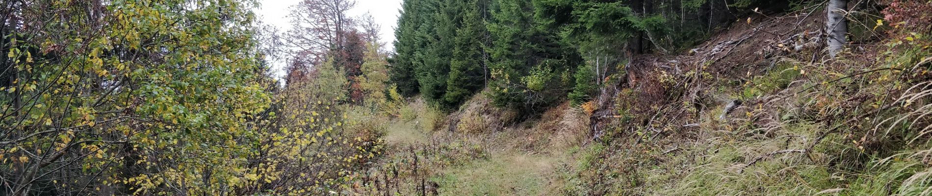 Percorso Marcia Arâches-la-Frasse - La Grasse les granges, l'Artoche, la combe, les sommaires, retour par la Presse, la mouille - Photo