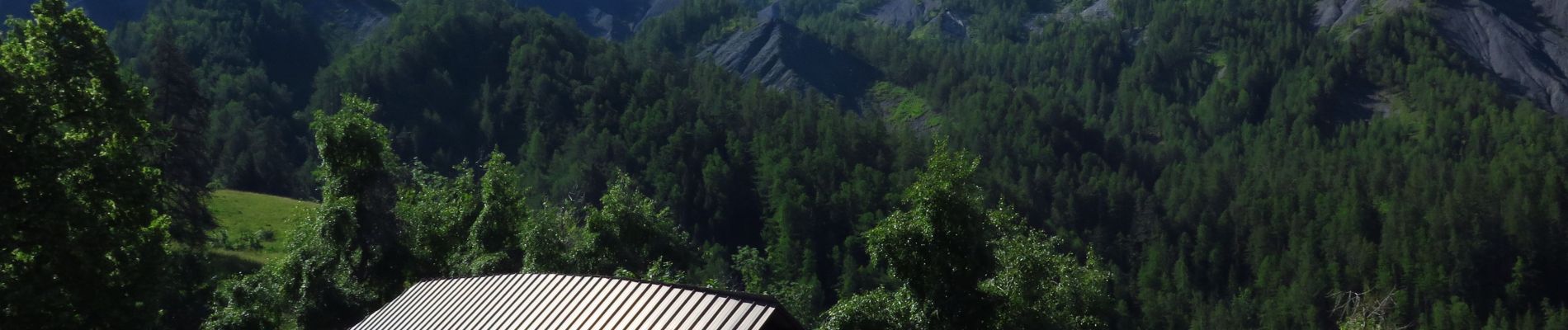 Excursión Bici de montaña Barcelonnette - Les Alaris VTT Ubaye circuit 8 - Photo