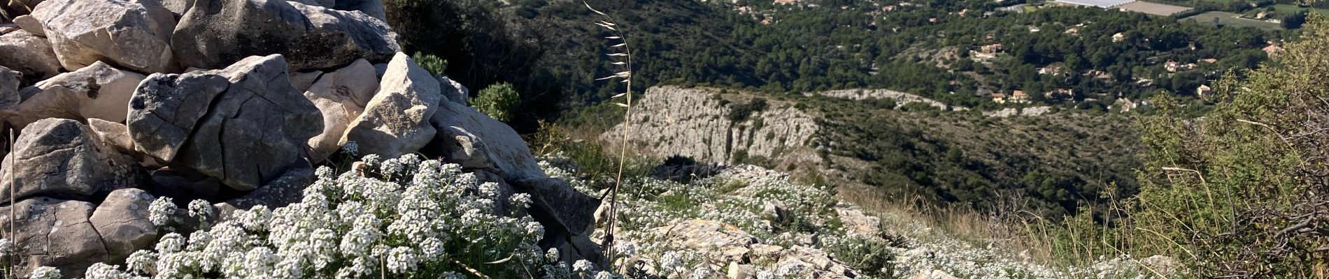 Percorso Sentiero Cheval-Blanc - Petrossi-Pradon-Sapine-Colombier(26K 840D+) - Photo