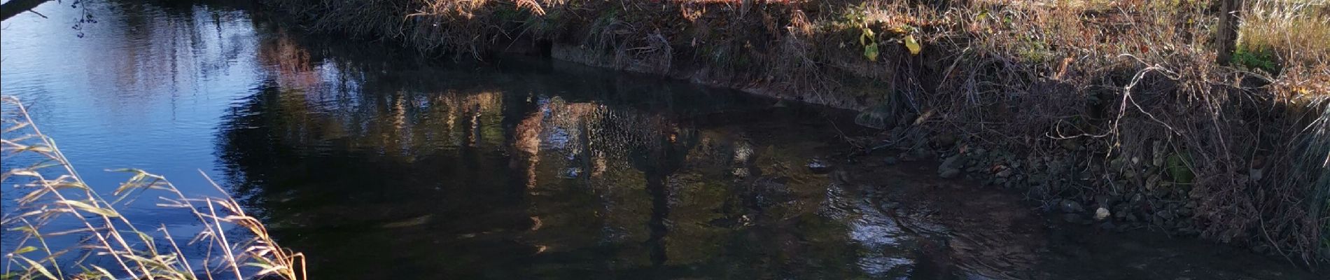 Tour Wandern Villy-sur-Yères - Villy-sur-Yères  - Photo