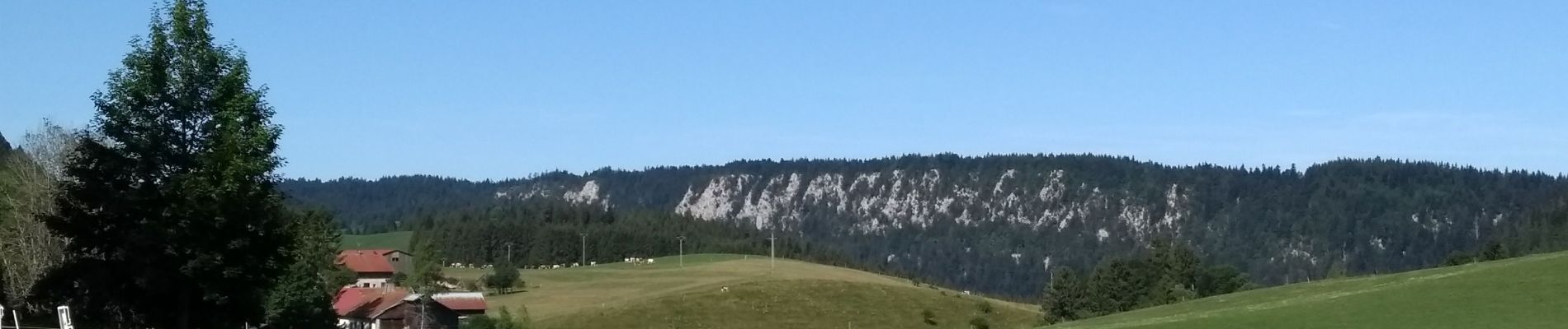 Excursión Senderismo Grand'Combe-Châteleu - Étape 8 : Vieux Chateleu à les Alliés - Photo