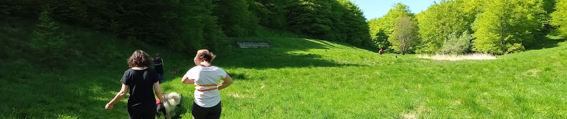 Randonnée Marche Omblèze - Le saut de la Truite - Photo