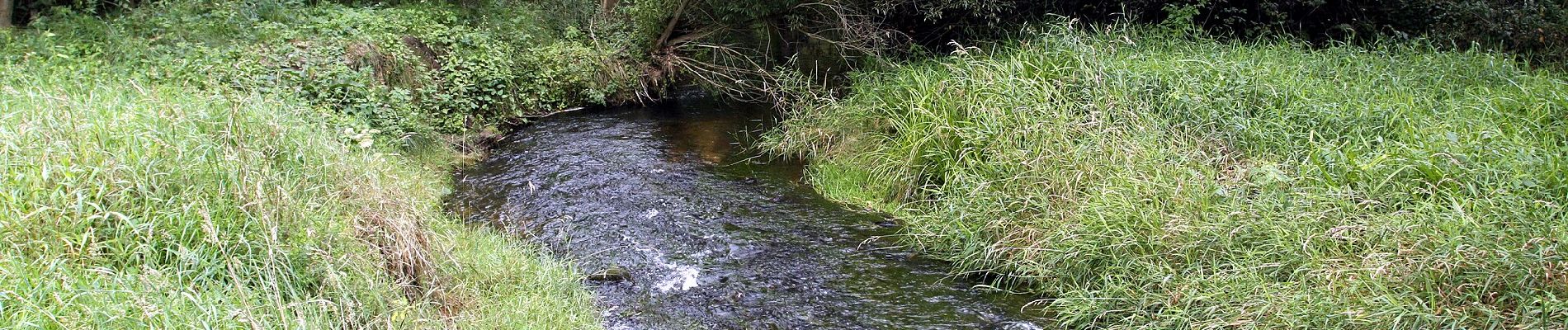 Excursión A pie Jetřichovice - [Z] Dolský mlýn - Pod Borovinou - Photo