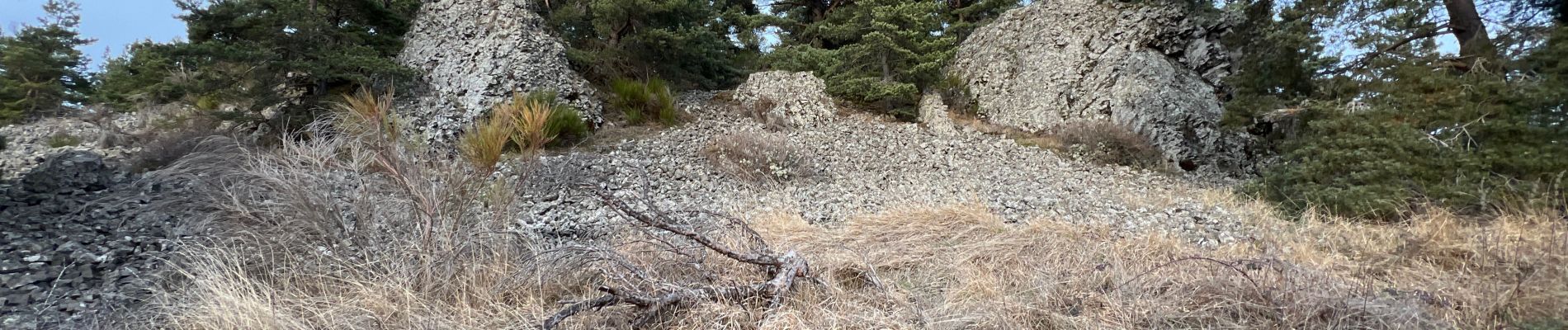 Tour Wandern Salettes - Camp D’Anthoune, Salettes (Haute-Loire) - Photo