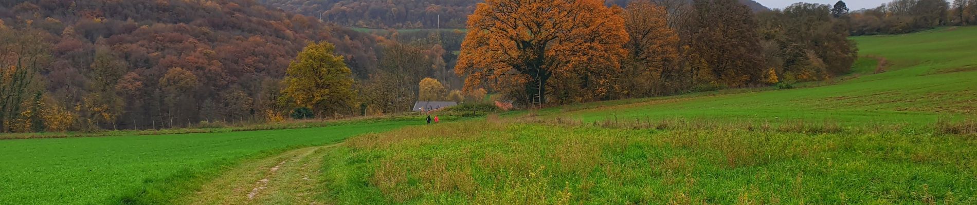 Excursión Senderismo Profondeville - Du village de Arbre au hameau de Besinne - Photo