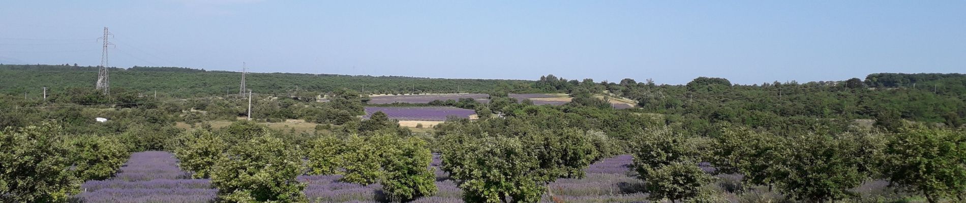 Tour Wandern Montjoyer - 07 07 19 - Photo