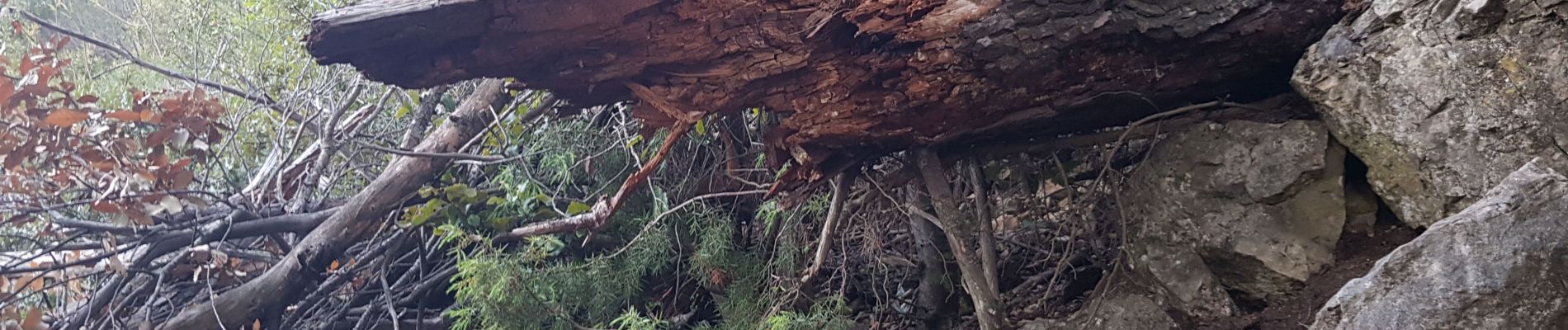 Tocht Stappen Carros - randonnée retour chemin gauche après  grotte retour  - Photo