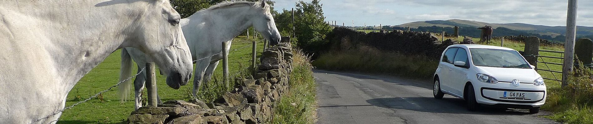 Randonnée A pied Stockport - Cown Edge Way - Photo