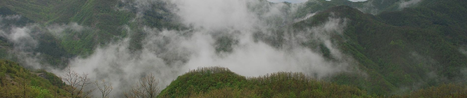 Percorso A piedi Santa Sofia - Un panoramico doppio anello sul Bidente delle Celle - Photo