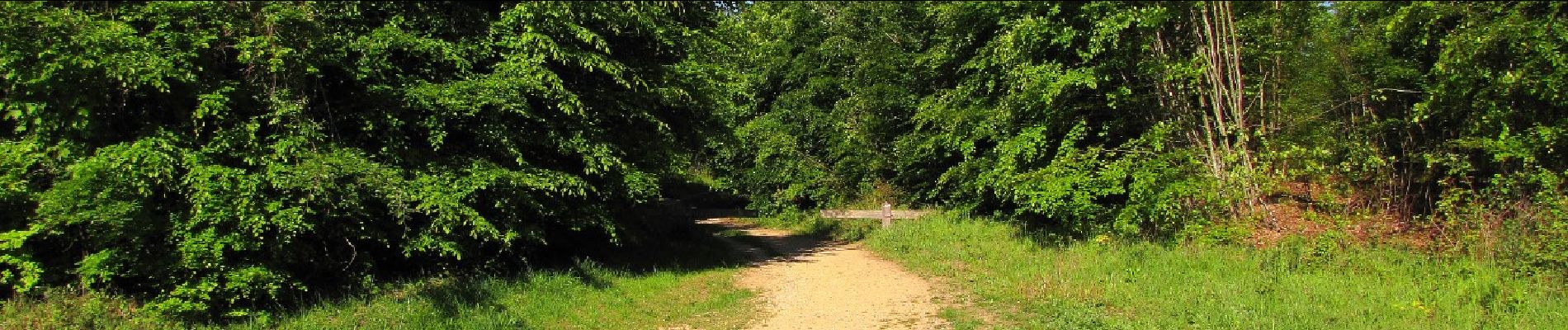 Randonnée Marche Pierrefonds - en forêt de Compiègne_30_la Tournante sous le Mont Saint-Mard - Photo