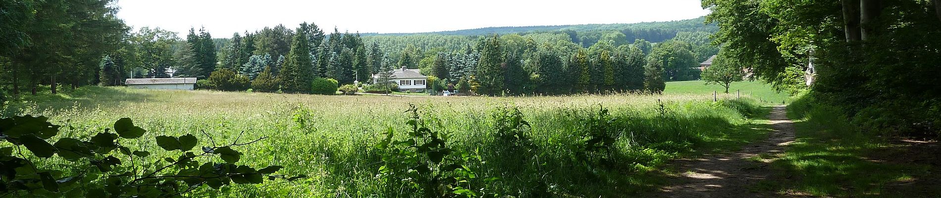 Randonnée A pied Raeren - GrenzRouten: Rundweg Köpfchen - Photo