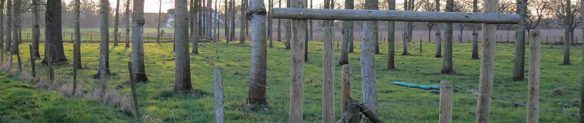 Tocht Te voet Sint-Truiden - Staaien rode driehoek - Photo