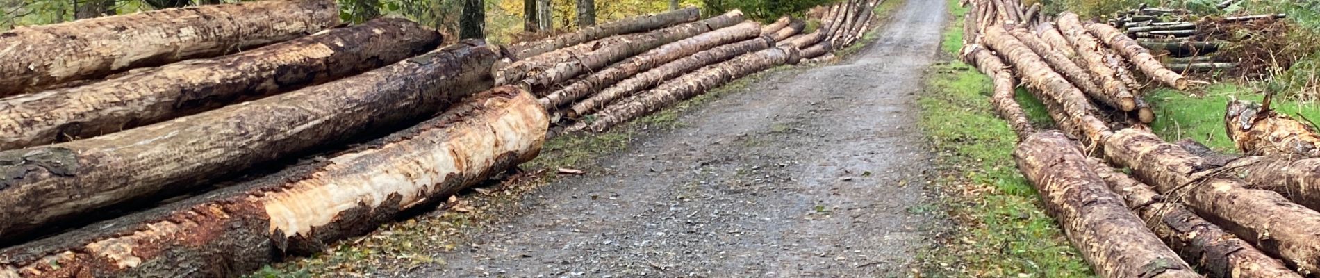 Trail Walking Gerpinnes - Gerpinnes par monts et par vaux - Photo