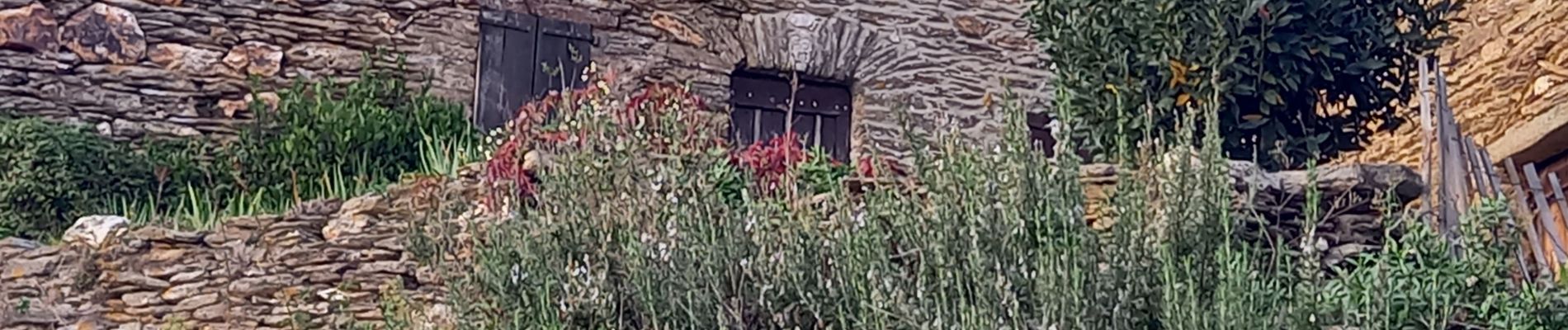 Excursión Senderismo Saint-Étienne-Vallée-Française - Montagne vieille morte - Photo