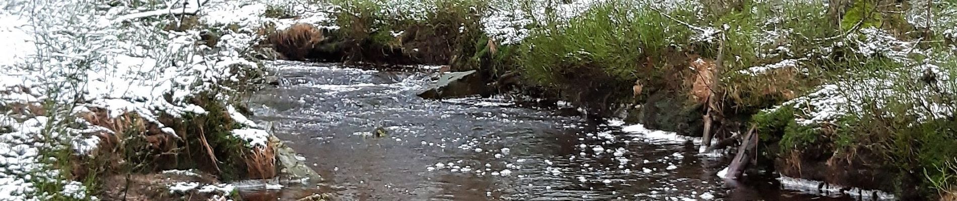 Trail Walking Malmedy - Pouhon - Photo