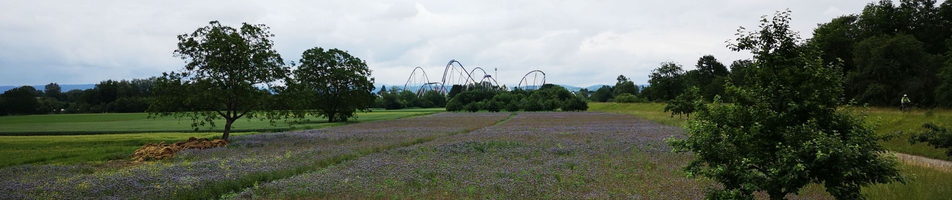 Randonnée V.T.C. Friesenheim - bac rhinau - Photo